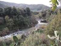 cantara gurne23122011 117